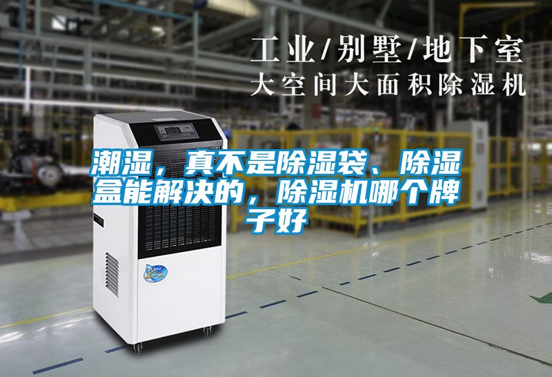 潮濕，真不是除濕袋、除濕盒能解決的，除濕機(jī)哪個(gè)牌子好