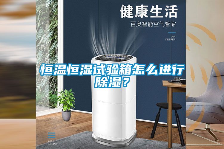 恒溫恒濕試驗(yàn)箱怎么進(jìn)行除濕？