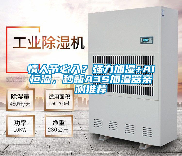 情人節(jié)必入？強(qiáng)力加濕+AI恒濕，秒新A3S加濕器親測(cè)推薦