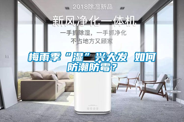 梅雨季“濕”興大發(fā) 如何防潮防霉？