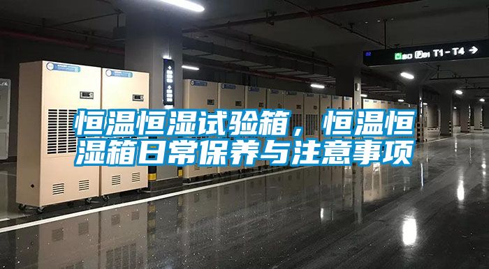 恒溫恒濕試驗箱，恒溫恒濕箱日常保養(yǎng)與注意事項