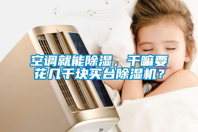 空調(diào)就能除濕，干嘛要花幾千塊買臺除濕機(jī)？