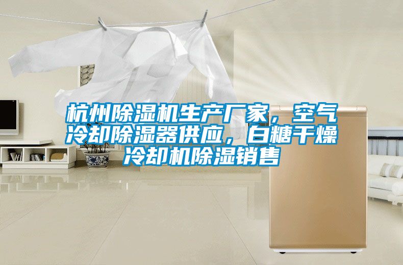 杭州除濕機(jī)生產(chǎn)廠家，空氣冷卻除濕器供應(yīng)，白糖干燥冷卻機(jī)除濕銷售