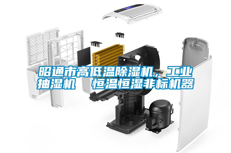 昭通市高低溫除濕機(jī)，工業(yè)抽濕機(jī)  恒溫恒濕非標(biāo)機(jī)器