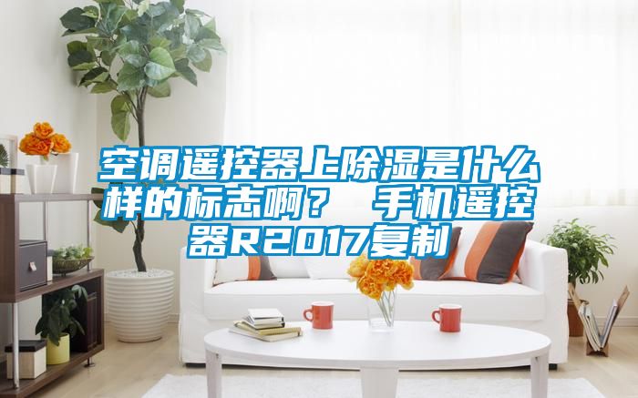 空調(diào)遙控器上除濕是什么樣的標(biāo)志?。?手機遙控器R2017復(fù)制