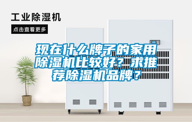 現(xiàn)在什么牌子的家用除濕機(jī)比較好？求推薦除濕機(jī)品牌？