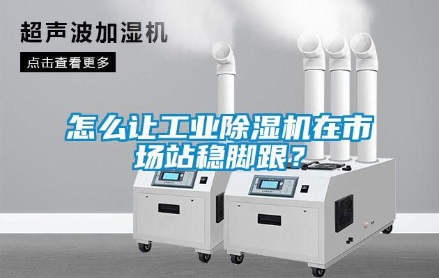 怎么讓工業(yè)除濕機(jī)在市場站穩(wěn)腳跟？