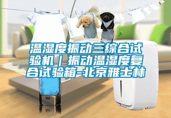 溫濕度振動三綜合試驗機(jī)｜振動溫濕度復(fù)合試驗箱-北京雅士林