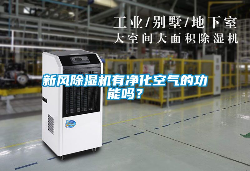 新風(fēng)除濕機(jī)有凈化空氣的功能嗎？