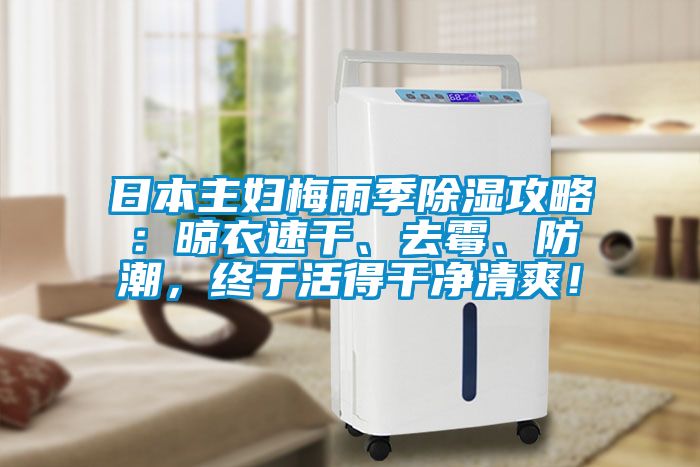 日本主婦梅雨季除濕攻略：晾衣速干、去霉、防潮，終于活得干凈清爽！