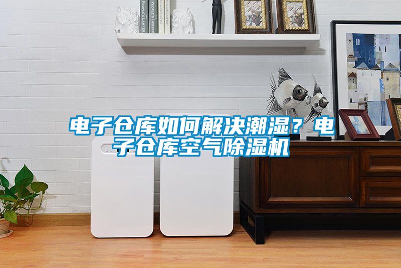 電子倉庫如何解決潮濕？電子倉庫空氣除濕機(jī)