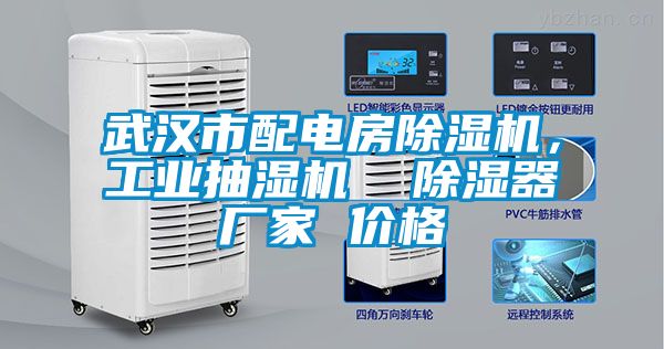 武漢市配電房除濕機(jī)，工業(yè)抽濕機(jī)  除濕器廠家 價格