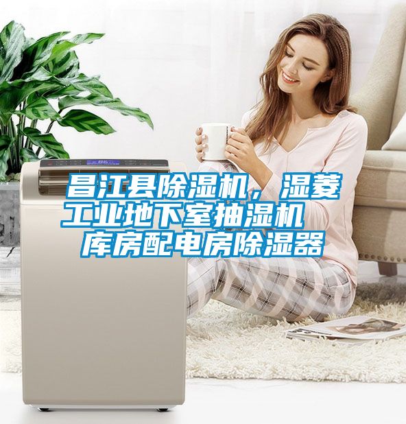 昌江縣除濕機(jī)，濕菱工業(yè)地下室抽濕機(jī)  庫(kù)房配電房除濕器