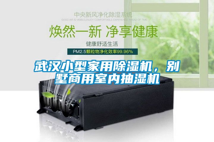 武漢小型家用除濕機，別墅商用室內(nèi)抽濕機
