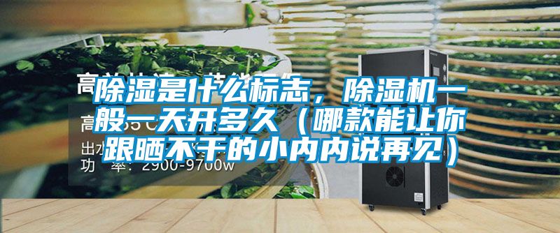 除濕是什么標志，除濕機一般一天開多久（哪款能讓你跟曬不干的小內內說再見）