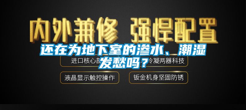 還在為地下室的滲水、潮濕發(fā)愁嗎？