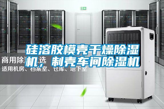 硅溶膠模殼干燥除濕機(jī)，制殼車間除濕機(jī)