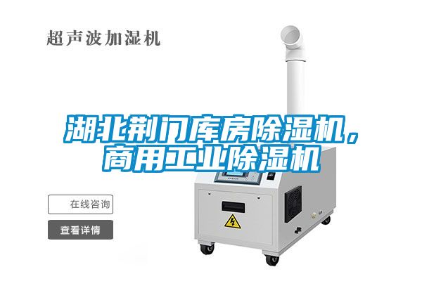 湖北荊門庫房除濕機(jī)，商用工業(yè)除濕機(jī)