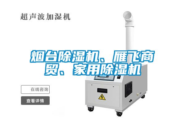 煙臺(tái)除濕機(jī)、雁飛商貿(mào)、家用除濕機(jī)