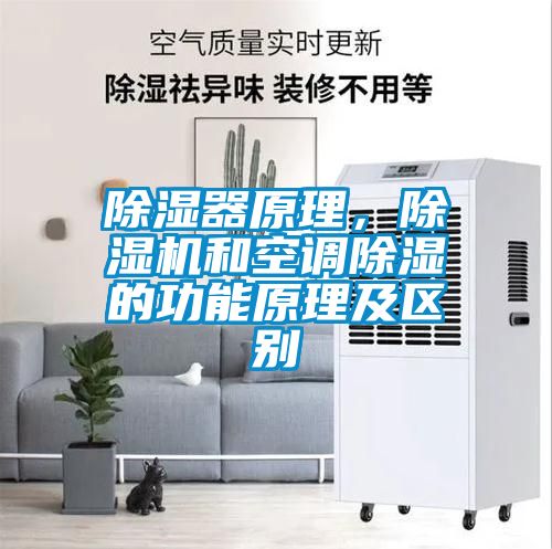 除濕器原理，除濕機(jī)和空調(diào)除濕的功能原理及區(qū)別