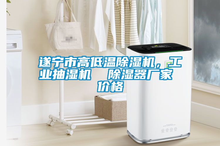 遂寧市高低溫除濕機(jī)，工業(yè)抽濕機(jī)  除濕器廠家 價(jià)格