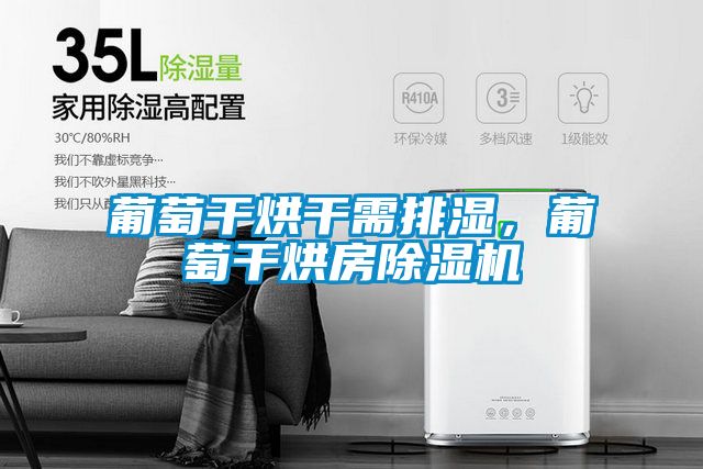葡萄干烘干需排濕，葡萄干烘房除濕機