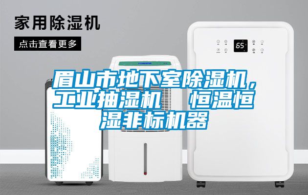 眉山市地下室除濕機，工業(yè)抽濕機  恒溫恒濕非標機器