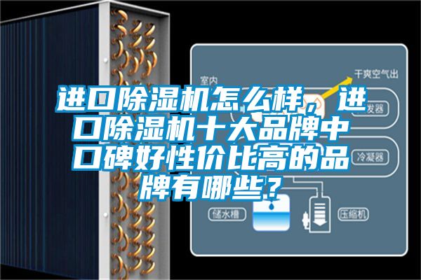 進(jìn)口除濕機(jī)怎么樣，進(jìn)口除濕機(jī)十大品牌中口碑好性價(jià)比高的品牌有哪些？