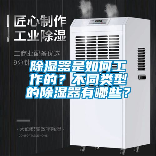除濕器是如何工作的？不同類型的除濕器有哪些？
