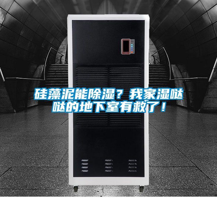 硅藻泥能除濕？我家濕噠噠的地下室有救了！