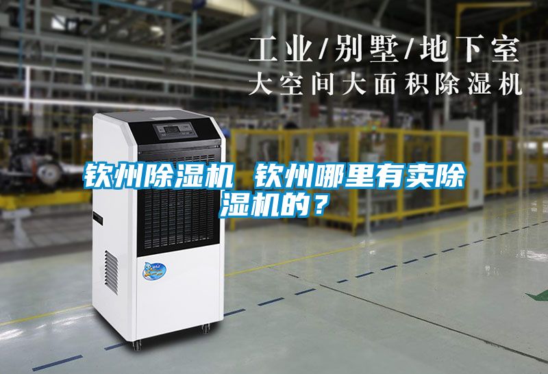 欽州除濕機(jī) 欽州哪里有賣(mài)除濕機(jī)的？