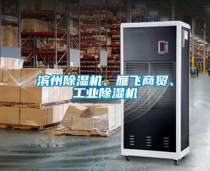 濱州除濕機、雁飛商貿(mào)、工業(yè)除濕機
