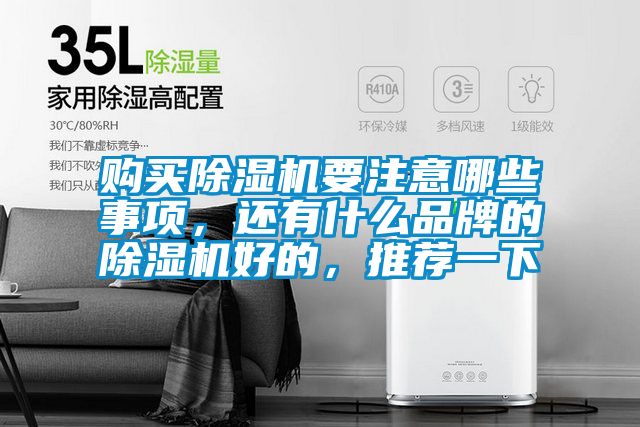 購(gòu)買(mǎi)除濕機(jī)要注意哪些事項(xiàng)，還有什么品牌的除濕機(jī)好的，推薦一下