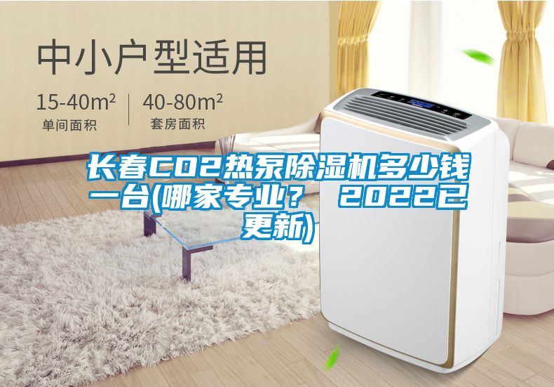 長(zhǎng)春CO2熱泵除濕機(jī)多少錢一臺(tái)(哪家專業(yè)？ 2022已更新)