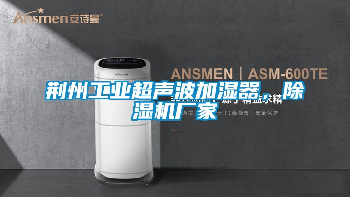 荊州工業(yè)超聲波加濕器，除濕機廠家