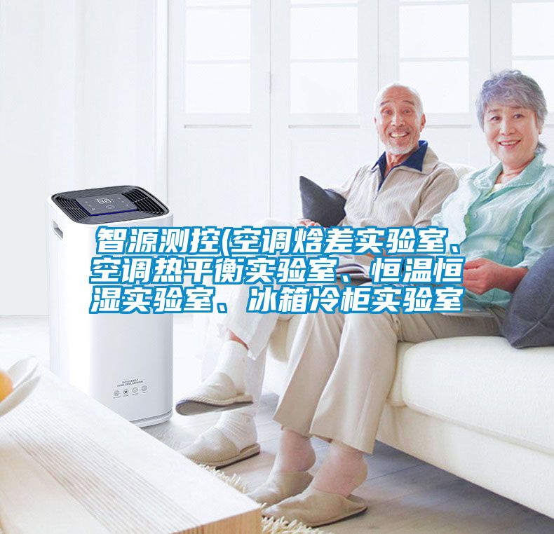 智源測(cè)控(空調(diào)焓差實(shí)驗(yàn)室、空調(diào)熱平衡實(shí)驗(yàn)室、恒溫恒濕實(shí)驗(yàn)室、冰箱冷柜實(shí)驗(yàn)室