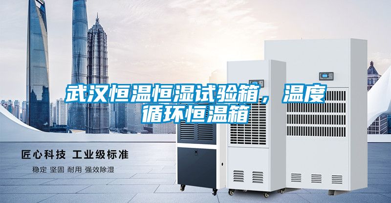 武漢恒溫恒濕試驗(yàn)箱，溫度循環(huán)恒溫箱