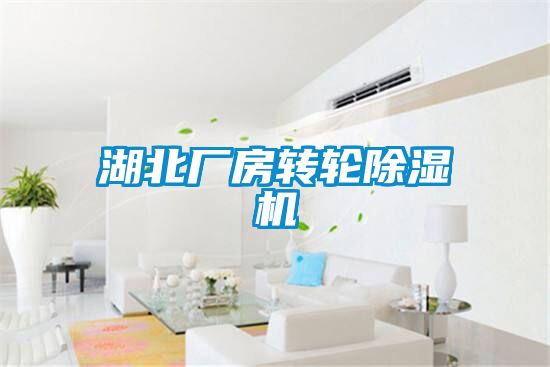 湖北廠房轉(zhuǎn)輪除濕機