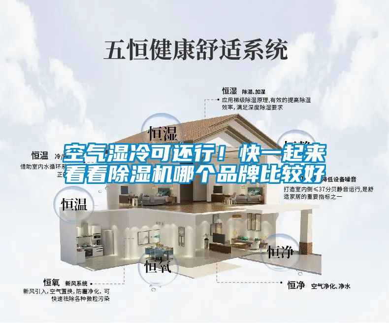空氣濕冷可還行！快一起來看看除濕機(jī)哪個(gè)品牌比較好