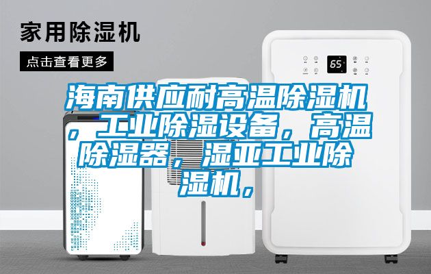 海南供應(yīng)耐高溫除濕機，工業(yè)除濕設(shè)備，高溫除濕器，濕亞工業(yè)除濕機，