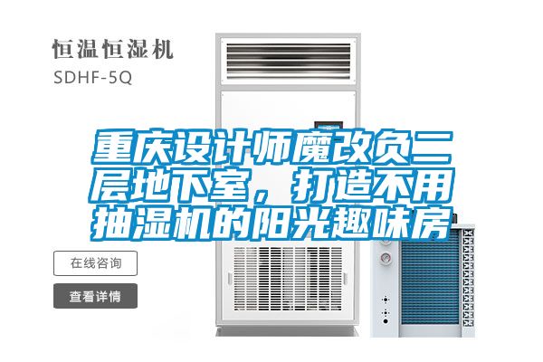 重慶設(shè)計(jì)師魔改負(fù)二層地下室，打造不用抽濕機(jī)的陽(yáng)光趣味房