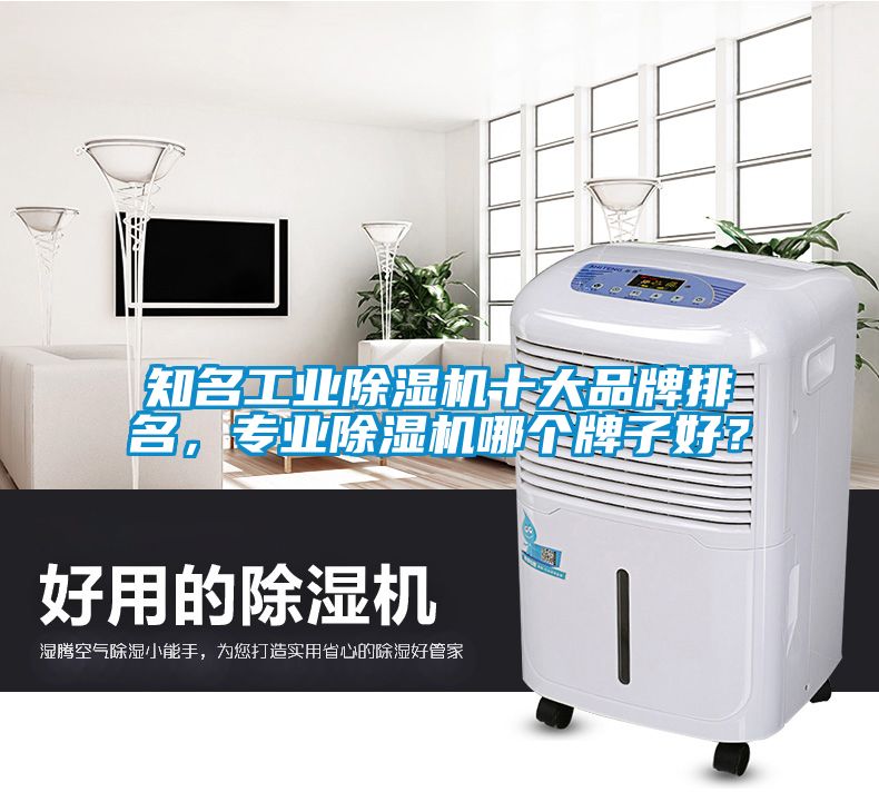知名工業(yè)除濕機(jī)十大品牌排名，專業(yè)除濕機(jī)哪個(gè)牌子好？