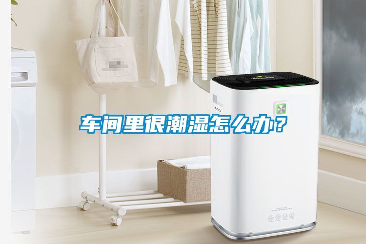 車間里很潮濕怎么辦？