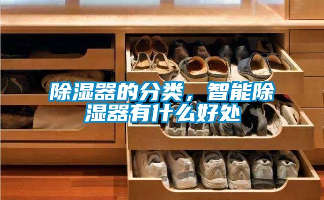 除濕器的分類，智能除濕器有什么好處