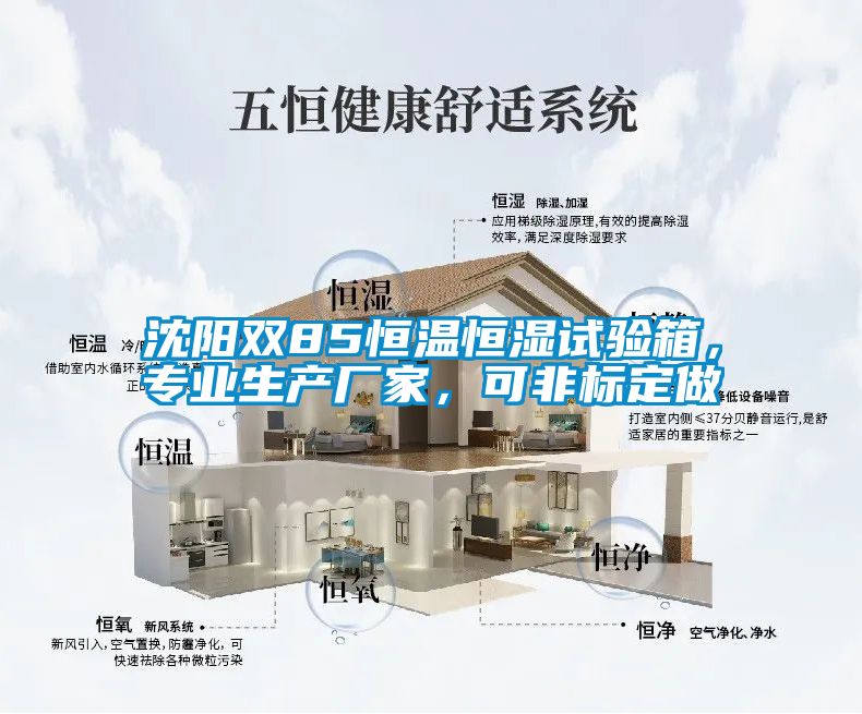 沈陽雙85恒溫恒濕試驗(yàn)箱，專業(yè)生產(chǎn)廠家，可非標(biāo)定做