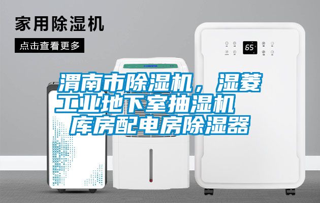 渭南市除濕機(jī)，濕菱工業(yè)地下室抽濕機(jī)  庫房配電房除濕器