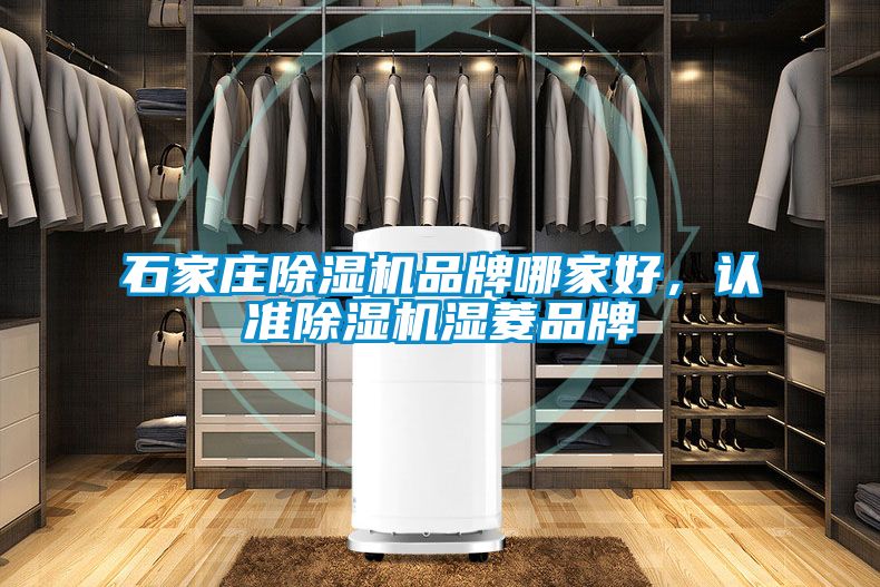 石家莊除濕機(jī)品牌哪家好，認(rèn)準(zhǔn)除濕機(jī)濕菱品牌