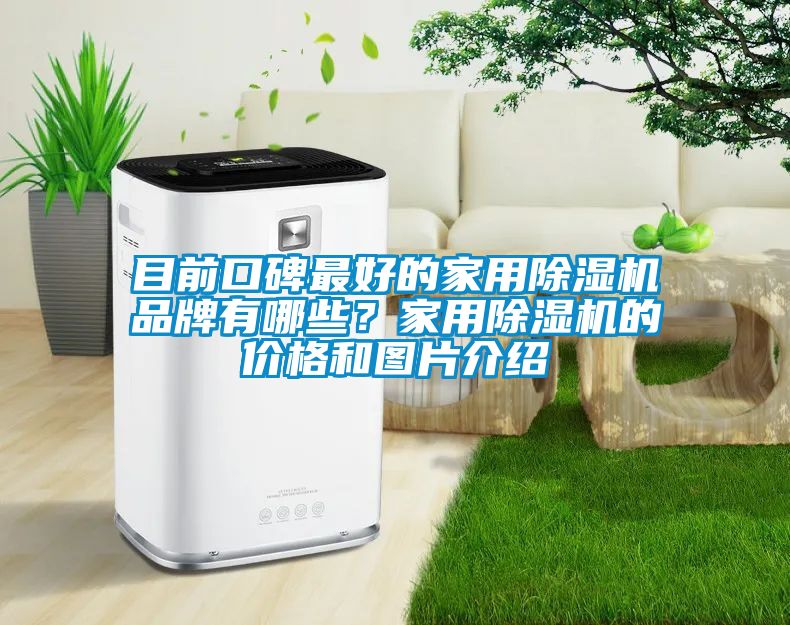 目前口碑最好的家用除濕機(jī)品牌有哪些？家用除濕機(jī)的價格和圖片介紹