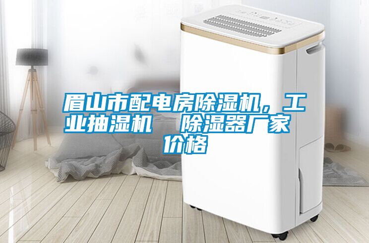 眉山市配電房除濕機(jī)，工業(yè)抽濕機(jī)  除濕器廠家 價(jià)格