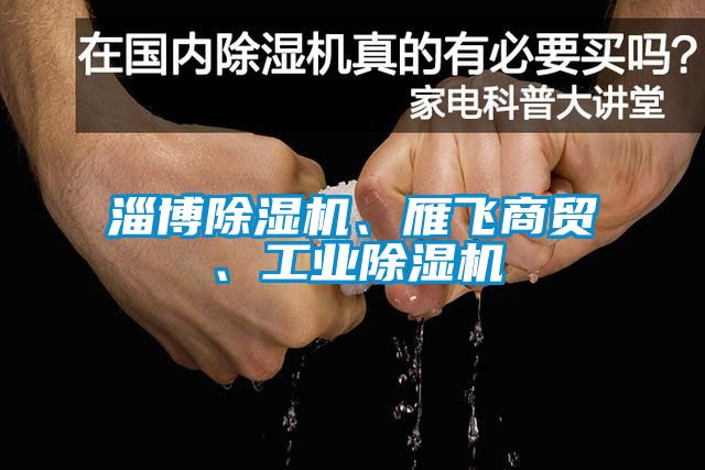 淄博除濕機(jī)、雁飛商貿(mào)、工業(yè)除濕機(jī)